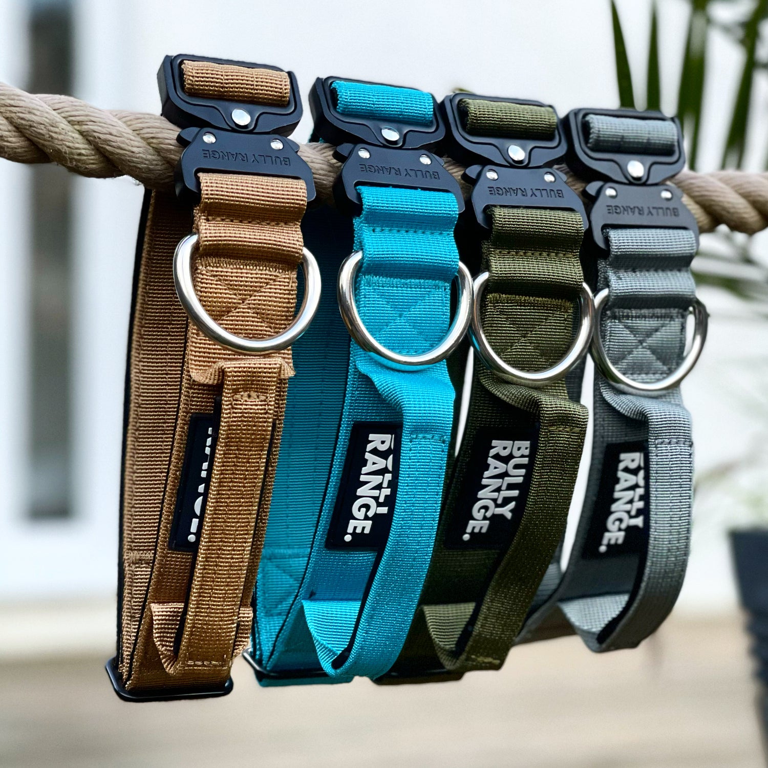 Collars