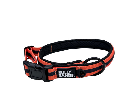 Trekkers Collar In Orange Stripe