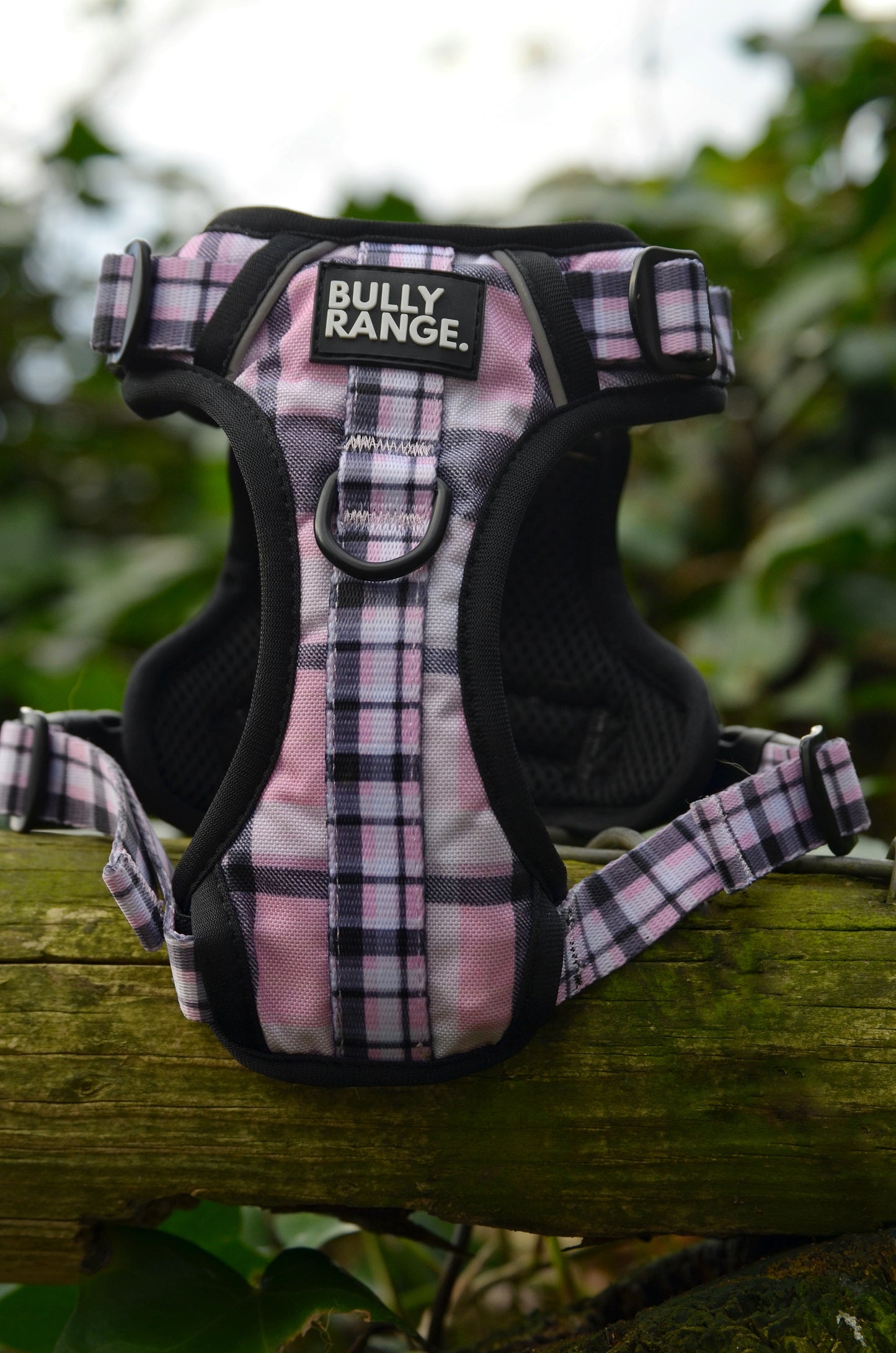 Trekkers Harness in Pink Tartan