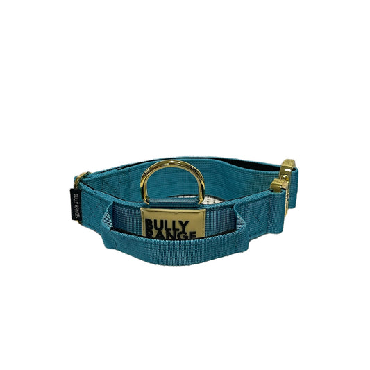 Electric Blue x Gold Collar
