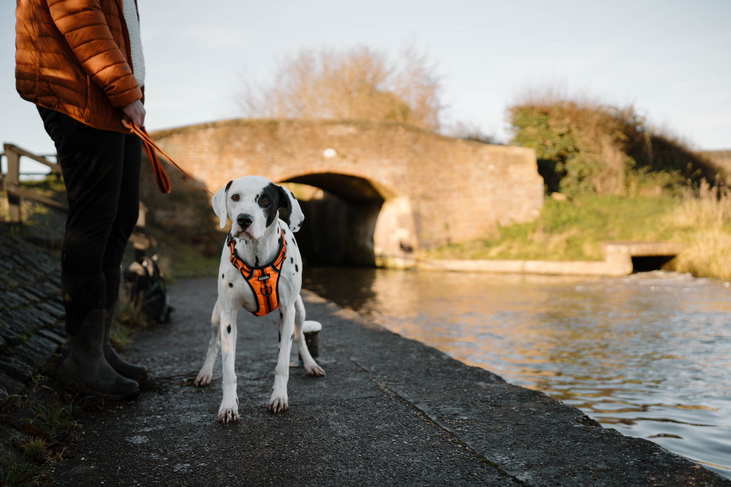 Trekkers Harness in Orange Stripe