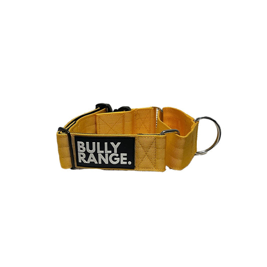 5cm - Martingale Collar in Mustard