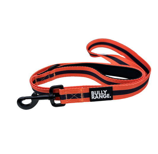 Trekkers Lead In Orange Stripe