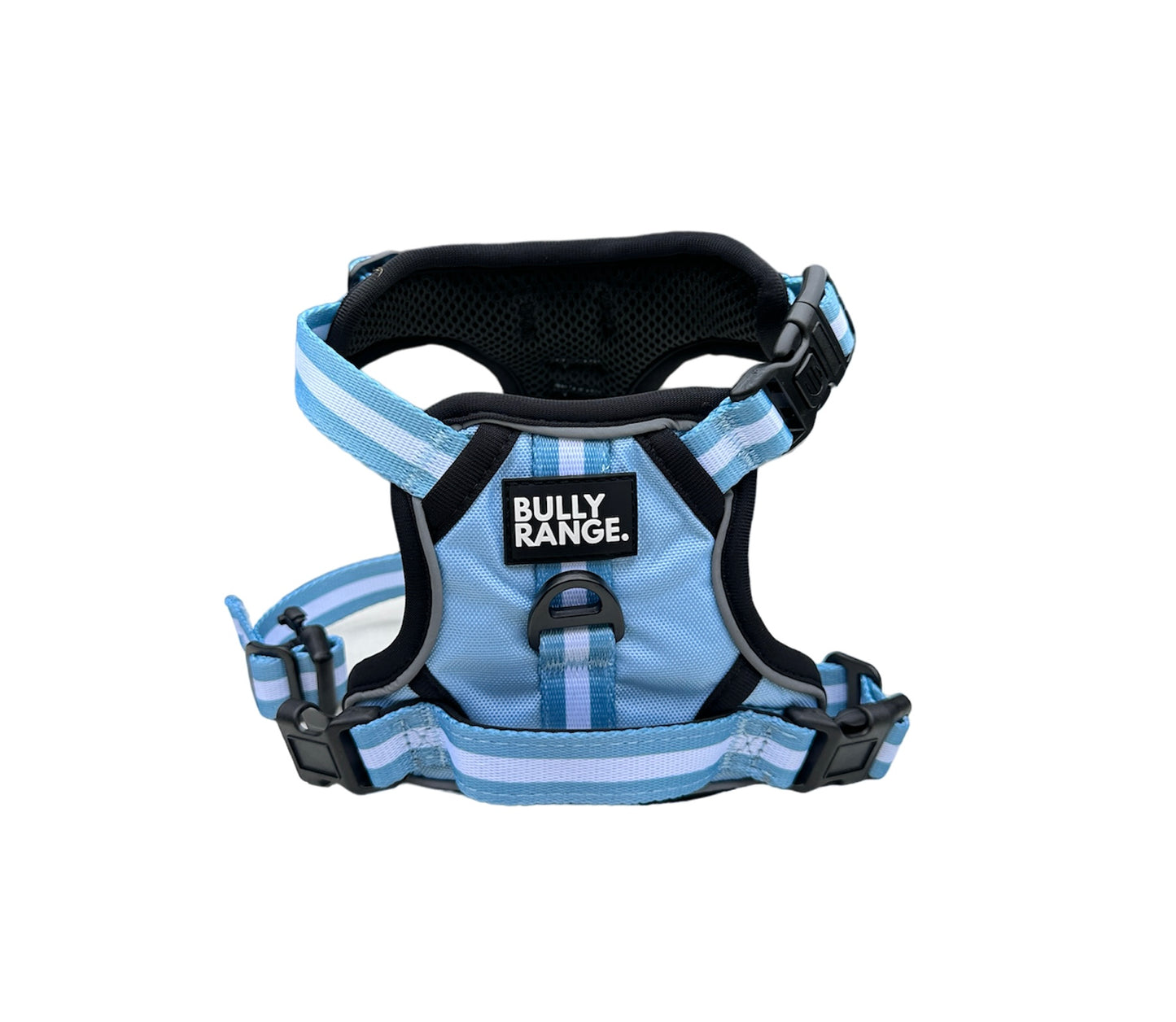 Trekkers Harness in Sky Blue Stripe