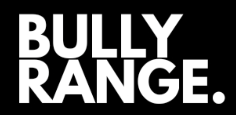 No-Pull Harness & Lead Set – bullyrange