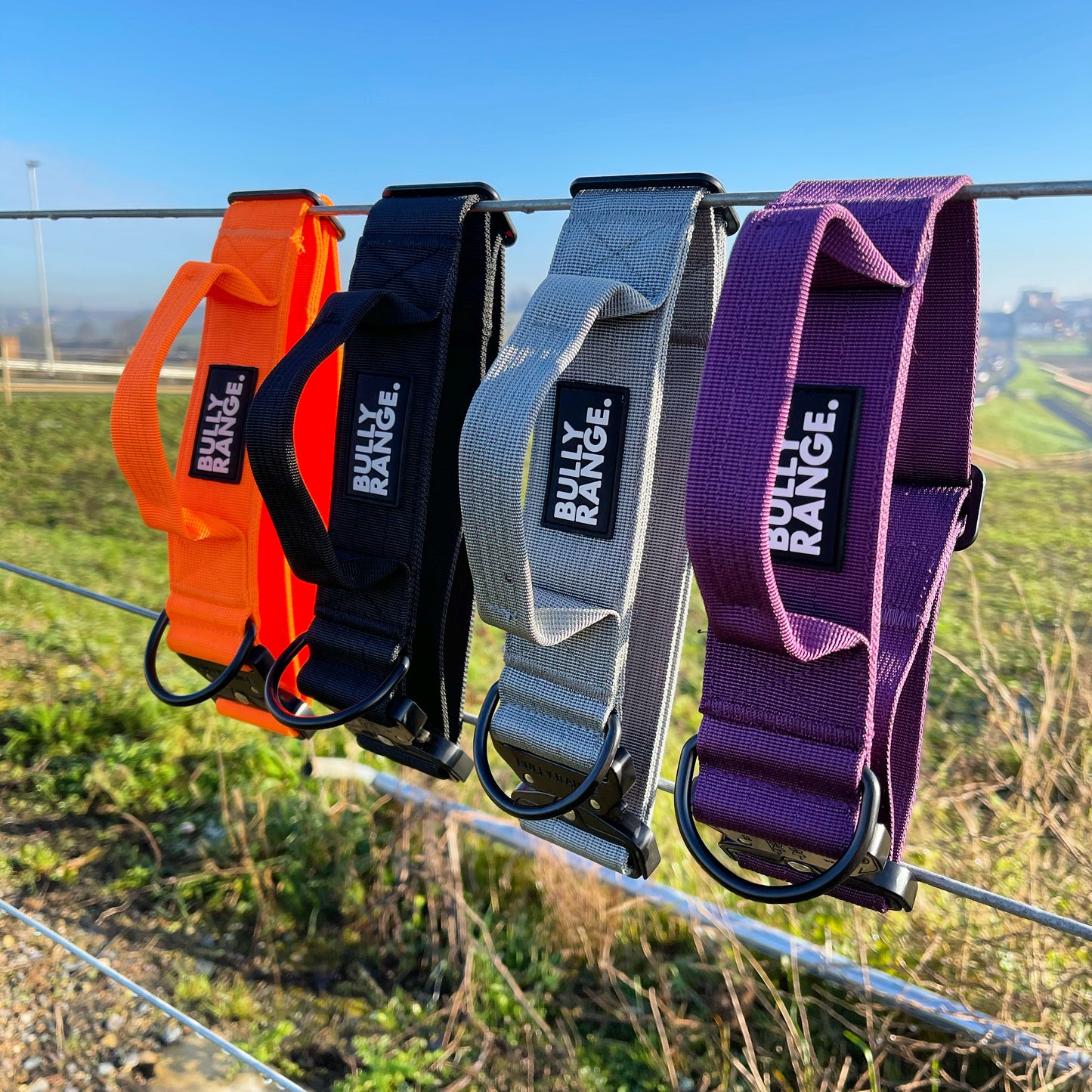 5cm - Purple Collar