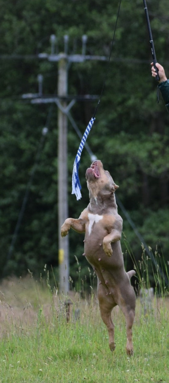 Bully Range Flirt Pole