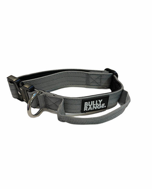 2.5cm - Small Breed/Puppy Anthracite Grey Collar