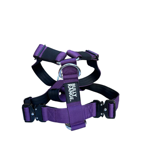Purple No-Pull Harness