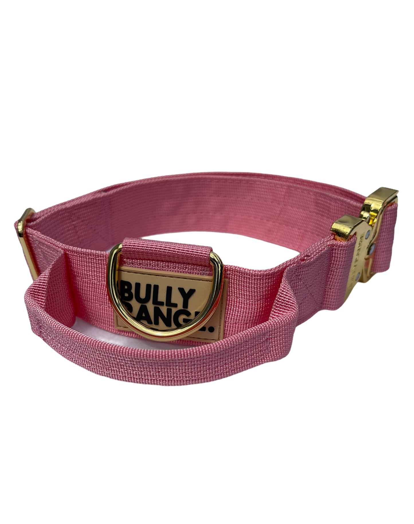 Pink x Gold Collar