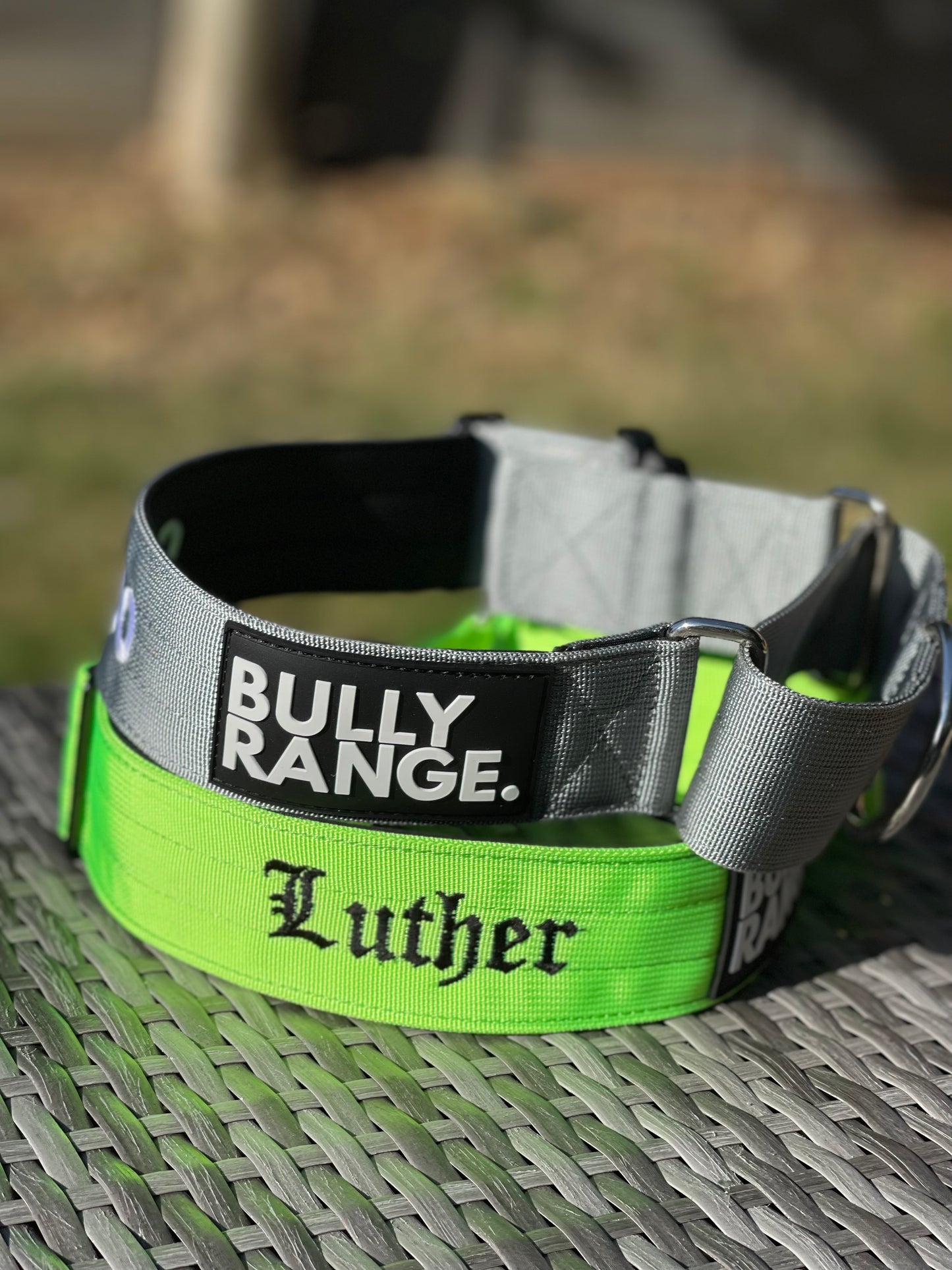 5cm - Martingale Collar in Neon Green