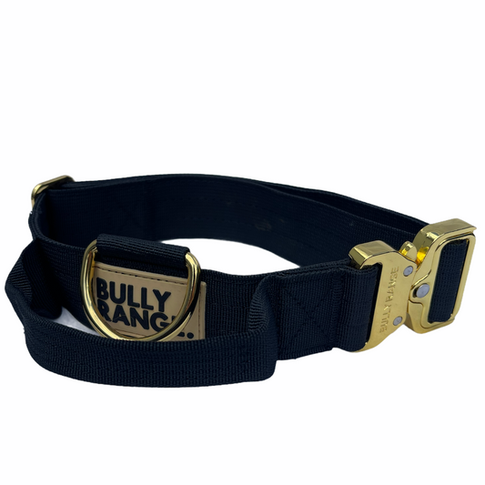 Black x Gold Collar