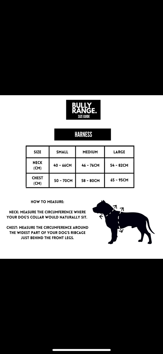 Mustard No-Pull Harness