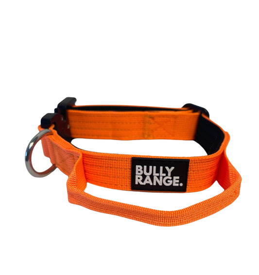 2.5cm - Small Breed/Puppy Neon Orange Collar