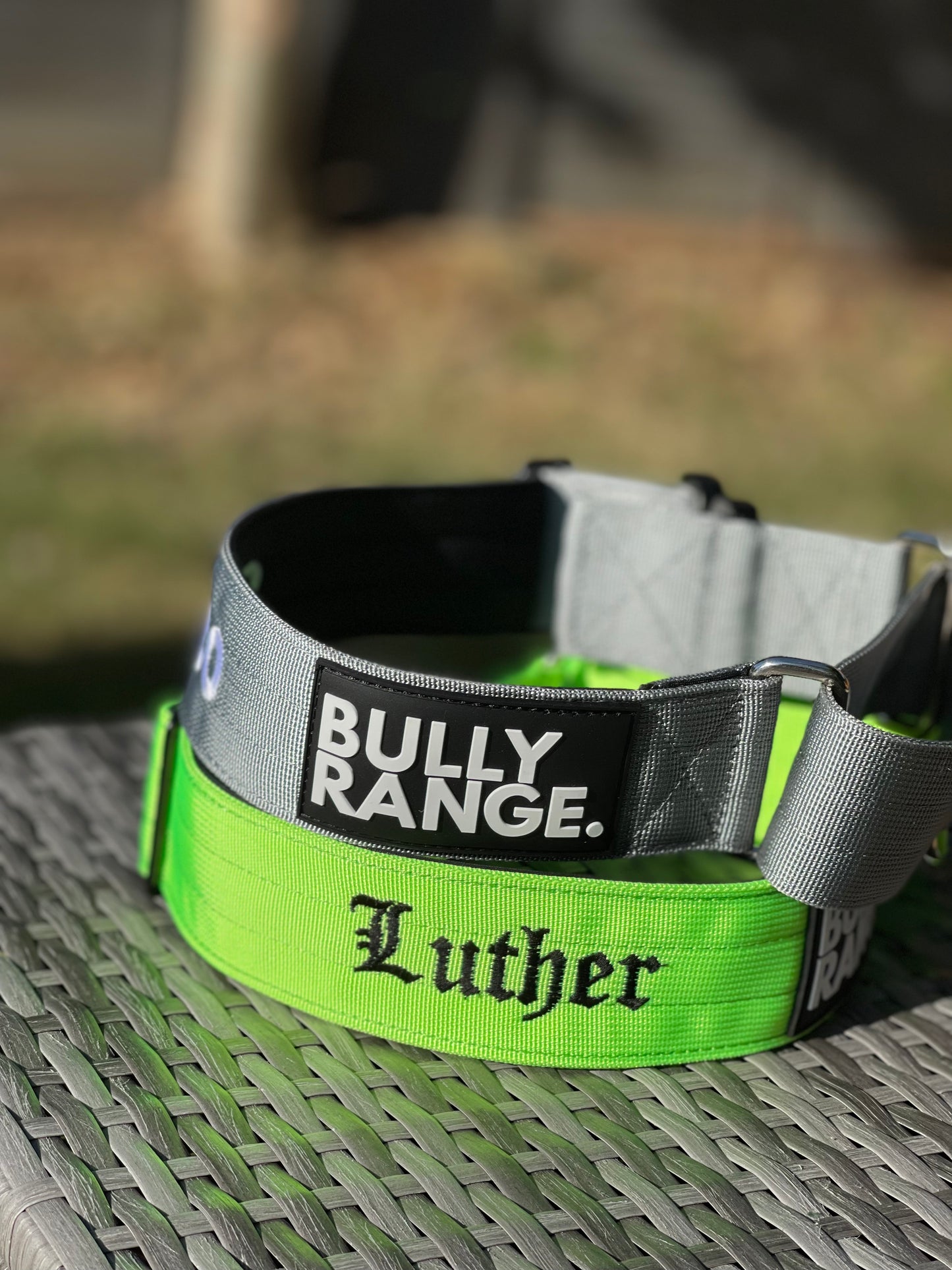 5cm - Martingale Collar in Mustard