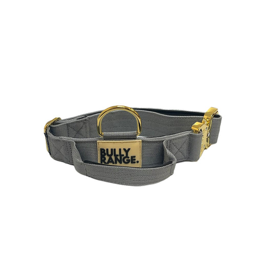 Anthracite Grey x Gold Collar