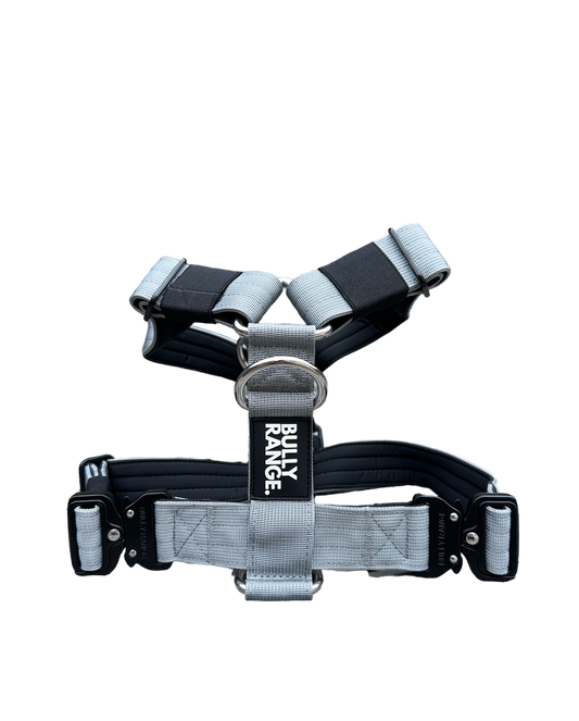 Anthracite Grey No-Pull Harness