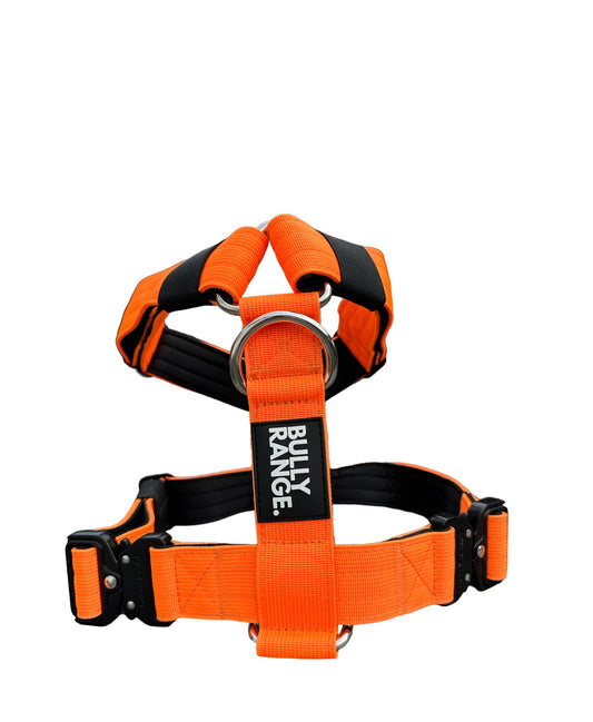 Orange No-Pull Harness