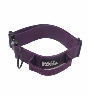 5cm - Purple Collar