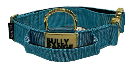 Electric Blue  x Gold Collar