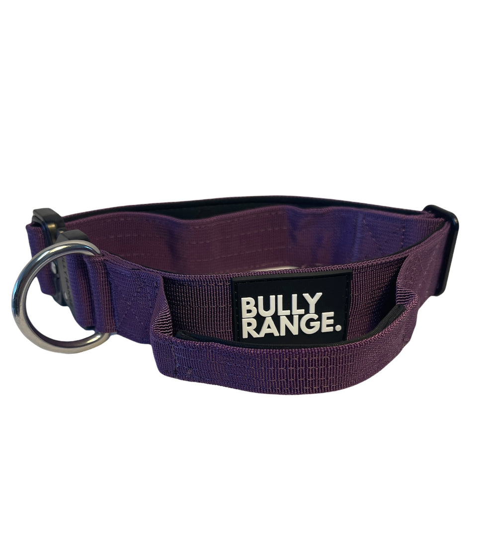 4cm - Purple Collar – bullyrange
