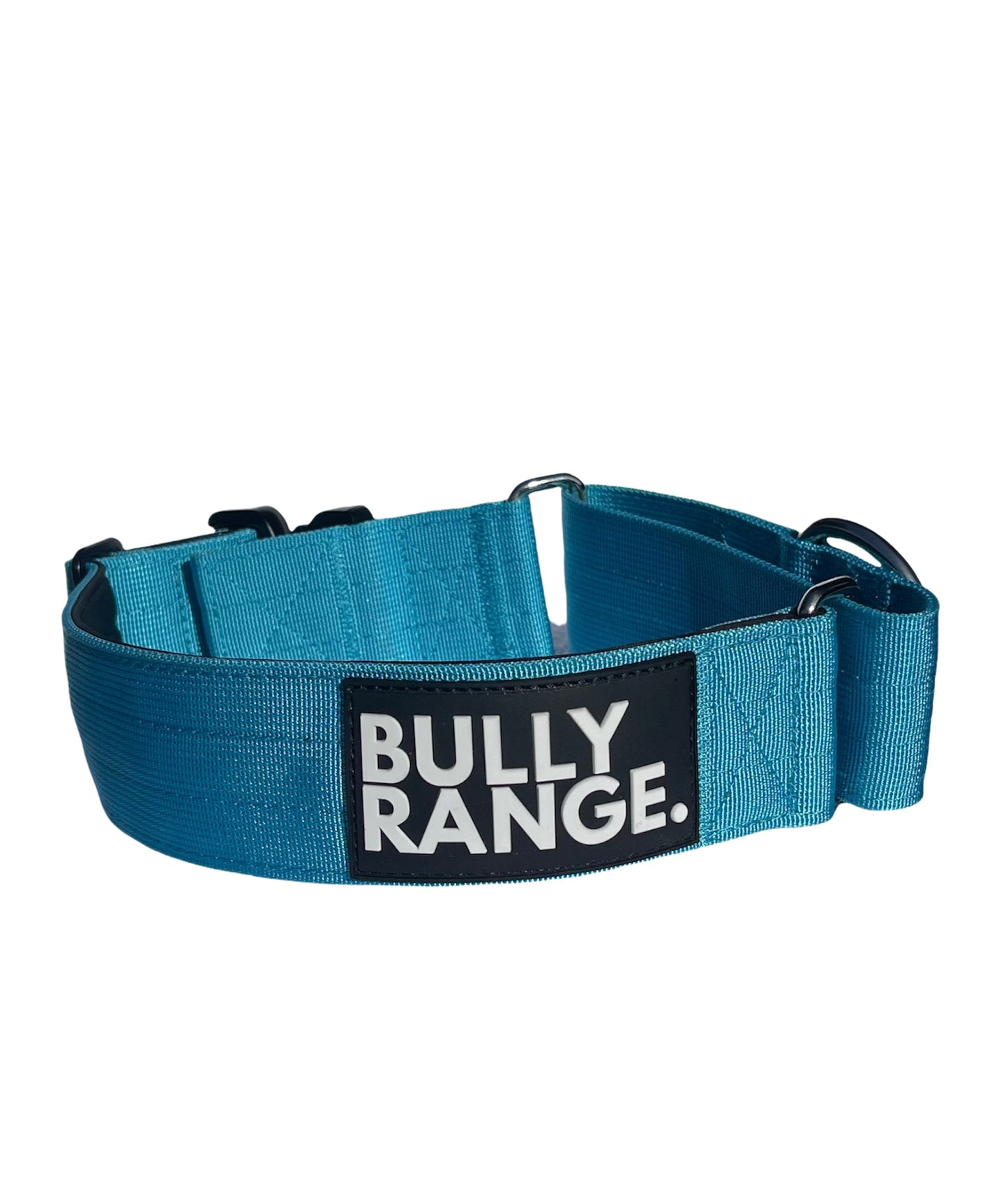 5cm - Martingale Collar in Electric Blue