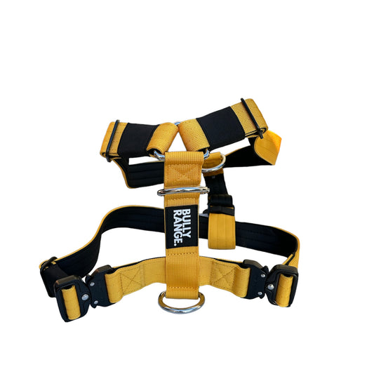 Mustard No-Pull Harness
