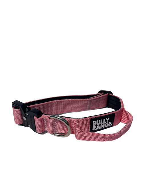 2.5cm - Small Breed/Puppy Pink Collar