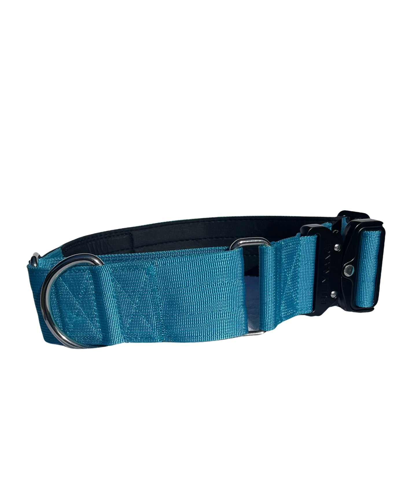 5cm - Martingale Collar in Electric Blue