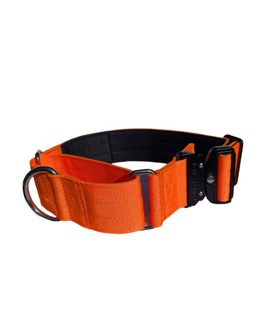 5cm - Martingale Collar in Neon Orange