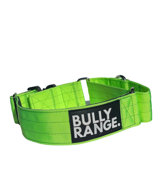 5cm - Martingale Collar in Neon Green