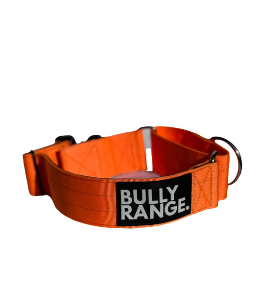 5cm - Martingale Collar in Neon Orange
